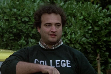 The Five Best College Movies