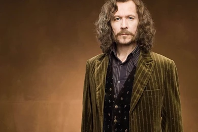 Sirius Black Wallpapers   Sirius Black Wallpapers (32913976)   Fanpop