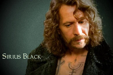 Sirius Black   Sirius Black Wallpapers (32440954)   Fanpop