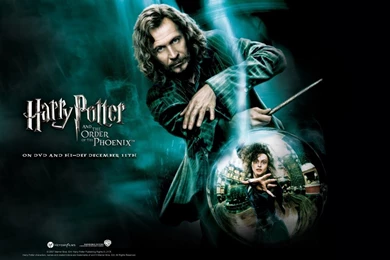 Sirius Black Gary Oldman Happy Potter Wallpapers Wallpapers