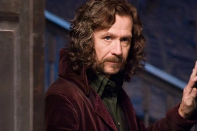 Sirius Black Wallpapers   Sirius Black Wallpapers (32913969)   Fanpop