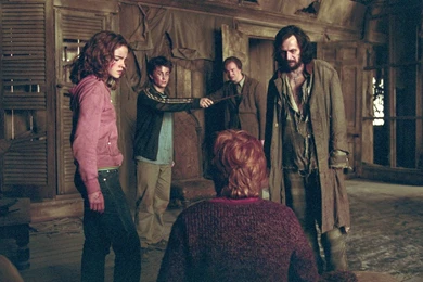 Sirius Black Wallpapers   Sirius Black Photo (32913937)   Fanpop