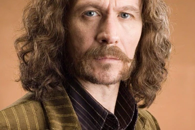 Image   Sirius black harry potter and the prisoner of azkaban ...