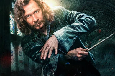 Sirius Black   Deathly Hallows Extended By HogwartSite On DeviantArt