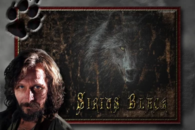 Harry Potter Movie Wallpapers And Sigs   Comments Welcome ...