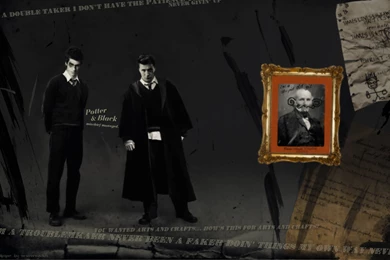 Sirius <3   Sirius Black Wallpapers (4906308)   Fanpop