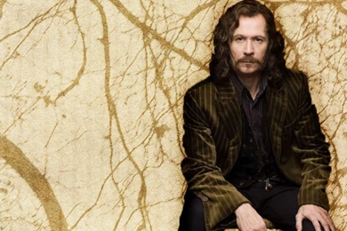 Sirius Black By SnufflesPaw On DeviantArt