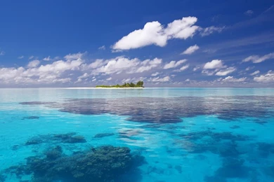 HTC Sensation HTC EVO 3D Nature Wallpapers 04