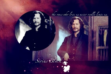 Sirius Black   Gary Oldman Wallpapers (209945)   Fanpop