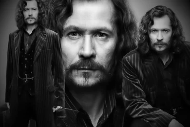 Sirius Black Actor Images