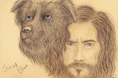 Sirius Black By LovelyAngie On DeviantArt