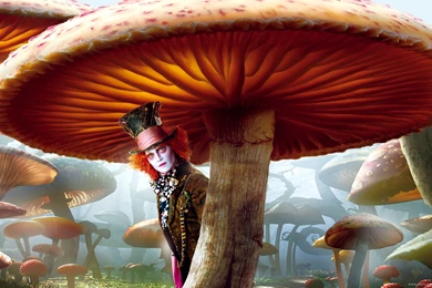 Desktop Wallpapers Alice In Wonderland By Tim Burton Movie ...