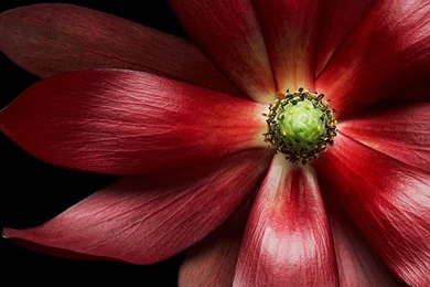 XPS 13 官方墙纸  戴尔技术中心 维客  戴尔技术中心  Dell 社区