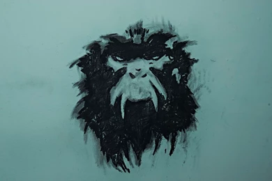 HD 12 Monkeys Wallpapers And Photos