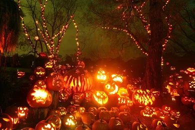 Halloween Wallpapers Pumpkin Character