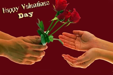 Valentines Day Pictures HD Photos & Images