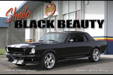 Mustangs Plus   Wallpapers