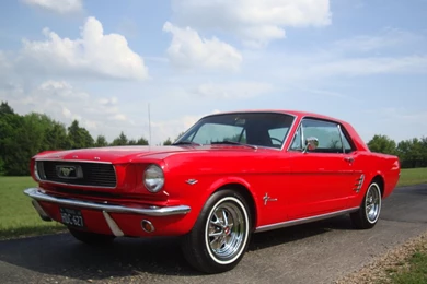 Scott Lewis Online A Site About