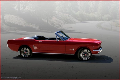 Poll Time   What Is Your Favorite Mustang (s)?