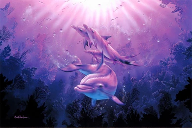 Dolphins In A Pink Light (