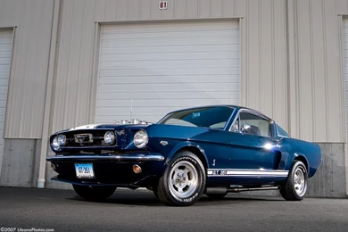 Shelby Cobra Gt500 Mustang 9 Wallpapers