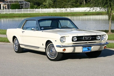 1966 Mustang Photo Collection   MustangAttitude