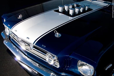 Ford Mustang Wallpapers   Taringa!