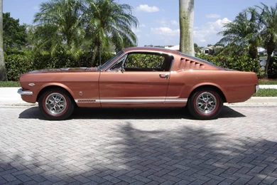 Picture Search Results   MustangAttitude.com