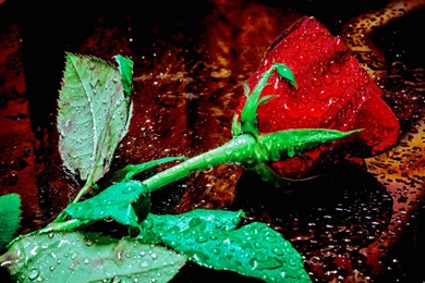 Hd Images, Download Wallpapers, Cool Artworks, , Colors, Smart ...