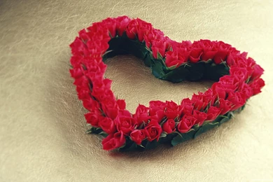 Love Flowers Wallpapers Of Love Word   Full HD Wallpapers