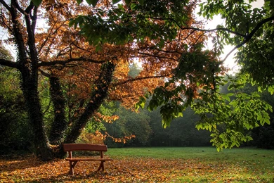 25+ Fall Wallpapers, Backgrounds, Pictures, Images