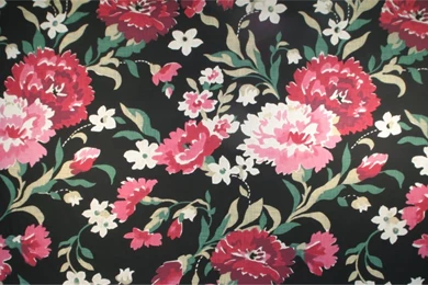 Gallery Vampire Weekend Flower Wallpapers