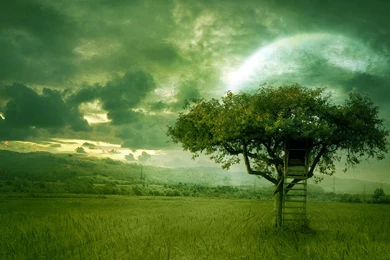 Beautiful HD Wallpapers For Desktop