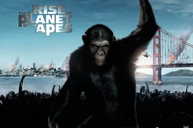 New English Movies Wallpapers