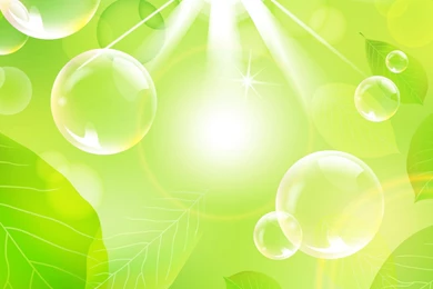 Green Leaves Wallpapers   Wallpapers Cave