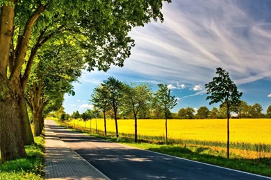 For Desktop_full Hd Wallpapers 1080p Widescreen Nature