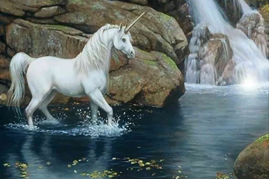 Unicorn Wallpapers Free   Wallpapers Cave