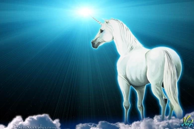 My Free Wallpapers   Fantasy Wallpapers : Unicorn