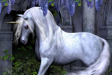 Wallpapers Unicorn Free Screensavers Play 1024x768
