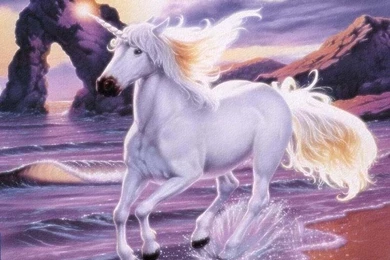 Unicorn Pictures