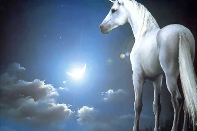 Unicorn Wallpapers   Wallpapers Cave