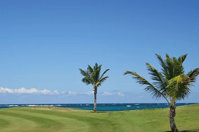 Golf Course Wallpapers » WallDevil   Best Free HD Desktop And ...