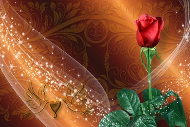 Rose Day 3D Fantastic Wallpapers