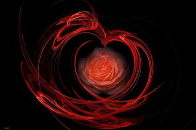 Red Rose Abstract Artistic Love Wallpapers HD