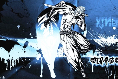 Bleach Espada Wallpapers   Wallpapers Cave