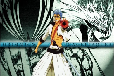 Download Bleach Espada Wallpapers 1024x768