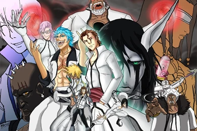 Bleach Espada 10