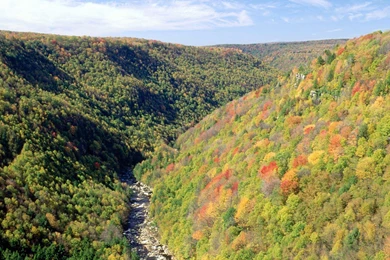 Free Wvu Wallpapers   Wallpapers Cave