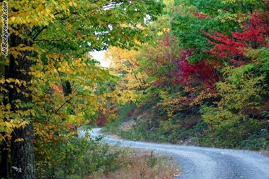 West Virginia Backgrounds   Twitter & Myspace Backgrounds