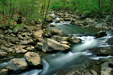 Download Backgrounds   Glade Creek In Early Spring, New River Gorge ...